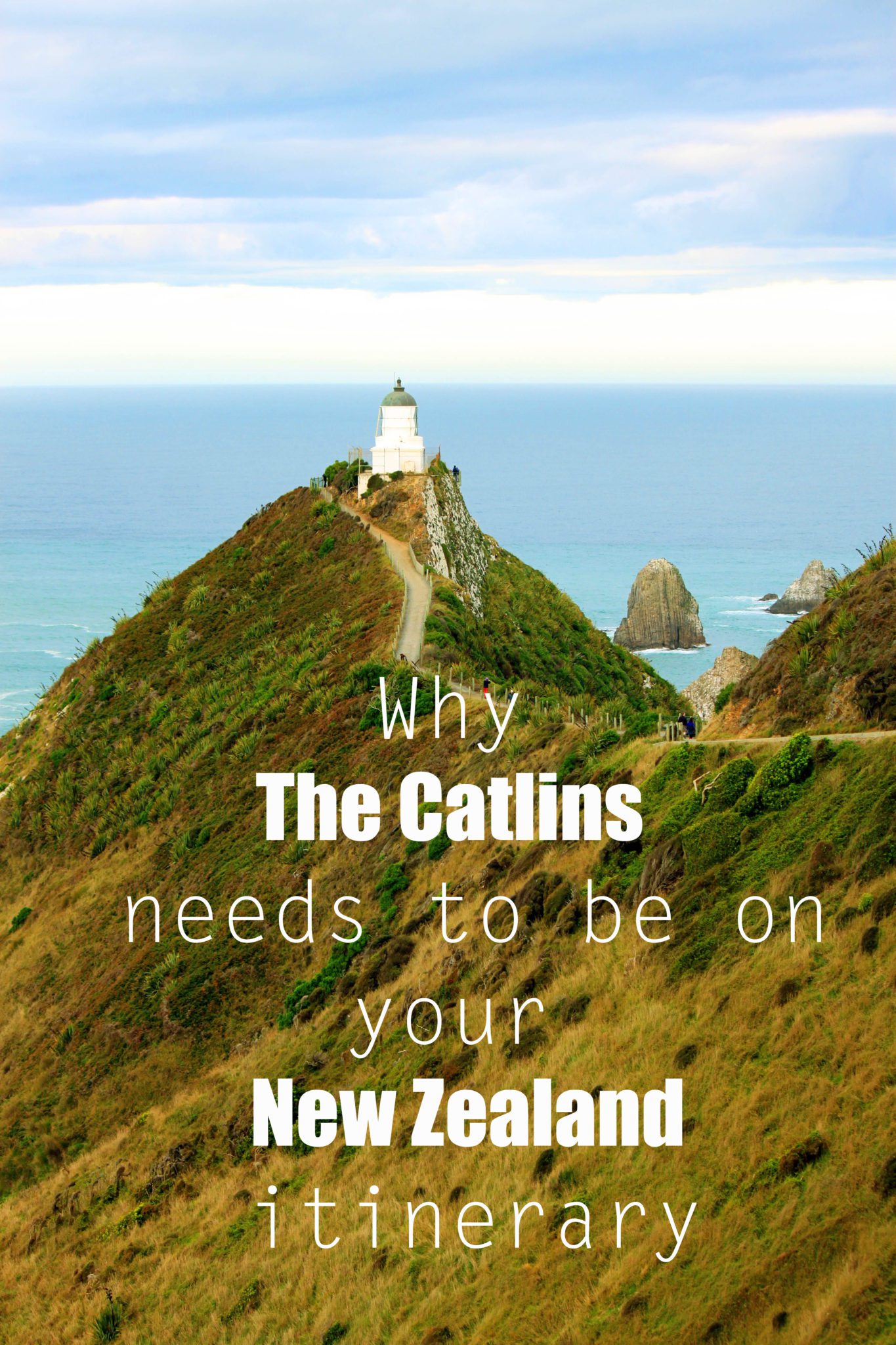 Why the Catlins Needs to be on your NZ Itinerary Simply Wander