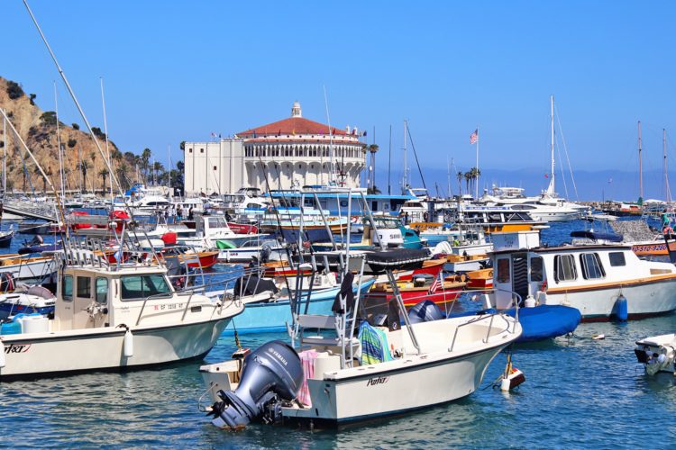 5 Unforgettable Things to do on Catalina Island | Simply Wander