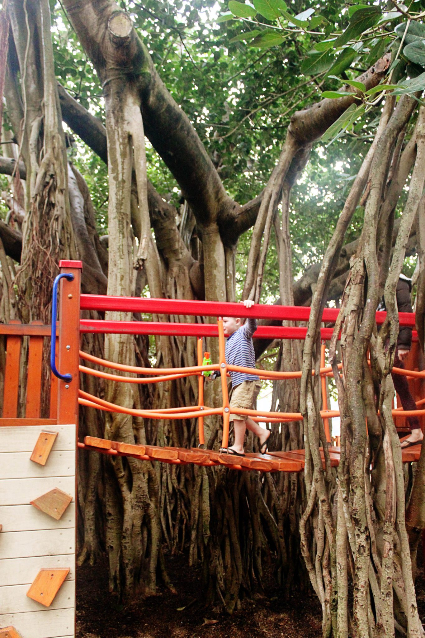 Gold Coast to Sunshine Coast Australia Top 5 Spots Simply Wander