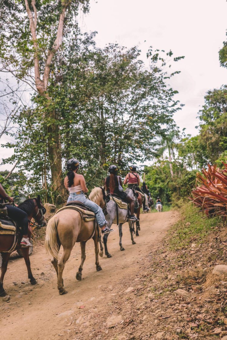 Visiting Carabal Rainforest Park In Puerto Rico Simply Wander