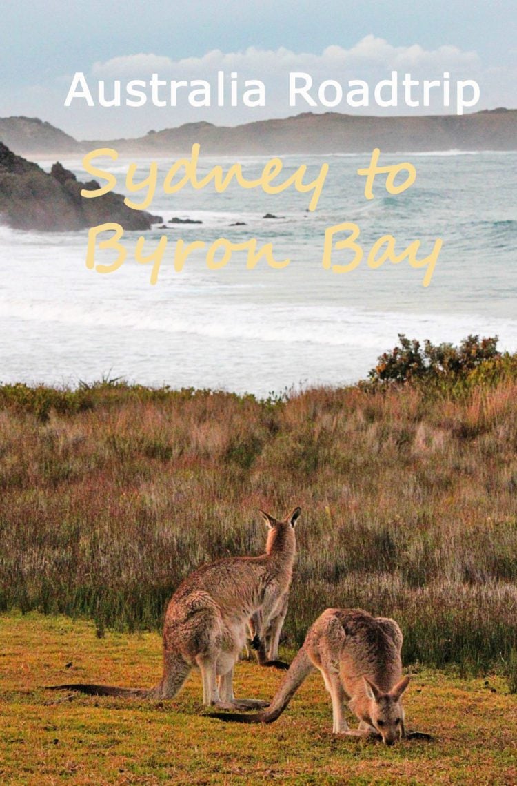 BYRON BAY AUSTRALIA TO SYDNEY visual data 2