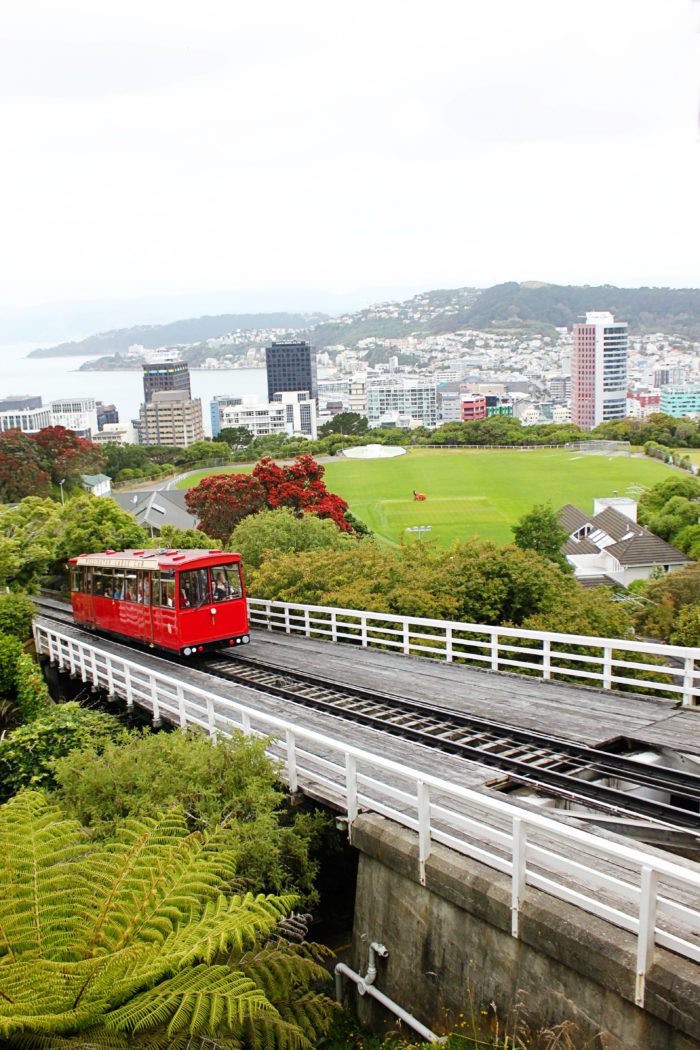 6 Fun Things to do in Wellington New Zealand with Kids