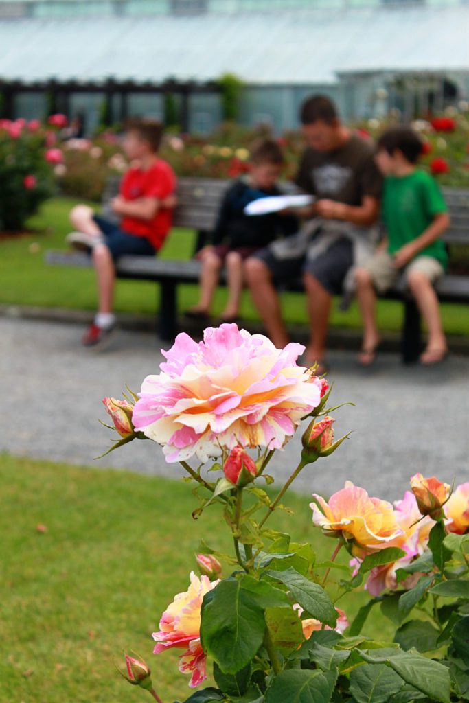 6 Fun things to do in Wellington New Zealand with kids | Wellington botanic gardens #wellington #newzeland #simplywander #botanicgardens