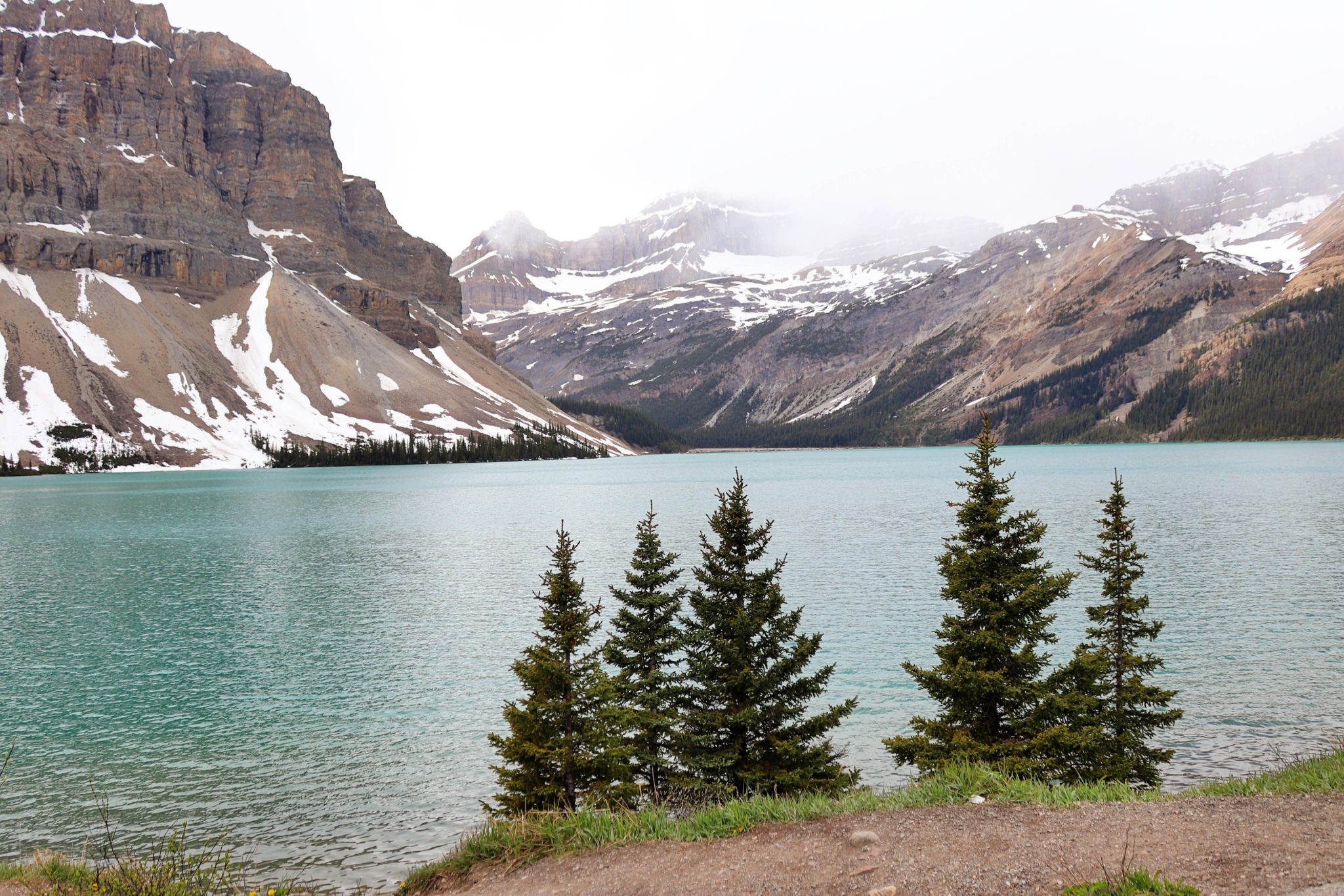 Banff Photography Guide: 15 Amazing Spots to take Photos in Banff | Columbia Ice Fields Parkway Bow Lake #banff #canada #simplywander #columbiaicefieldsparkway #bowlake