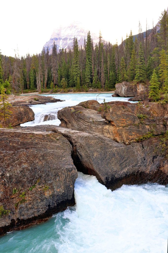 Banff Photography Guide: 15 Amazing Spots to take Photos in Banff | Natural Bridge Falls #banff #canada #simplywander #naturalbridgefalls