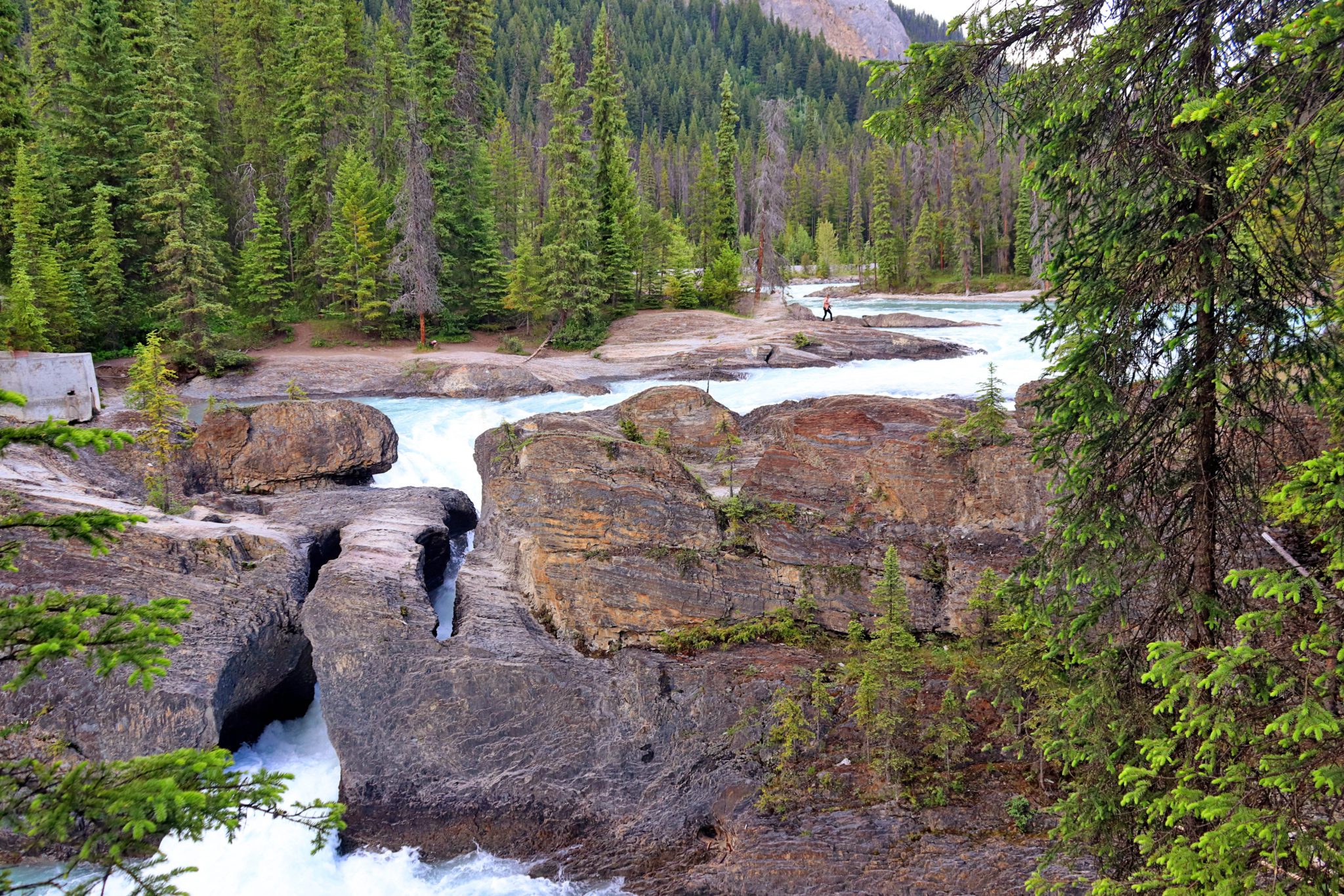 Banff Photography Guide: 15 Amazing Spots to take Photos in Banff | Natural Bridge Falls #banff #canada #simplywander #naturalbridgefalls