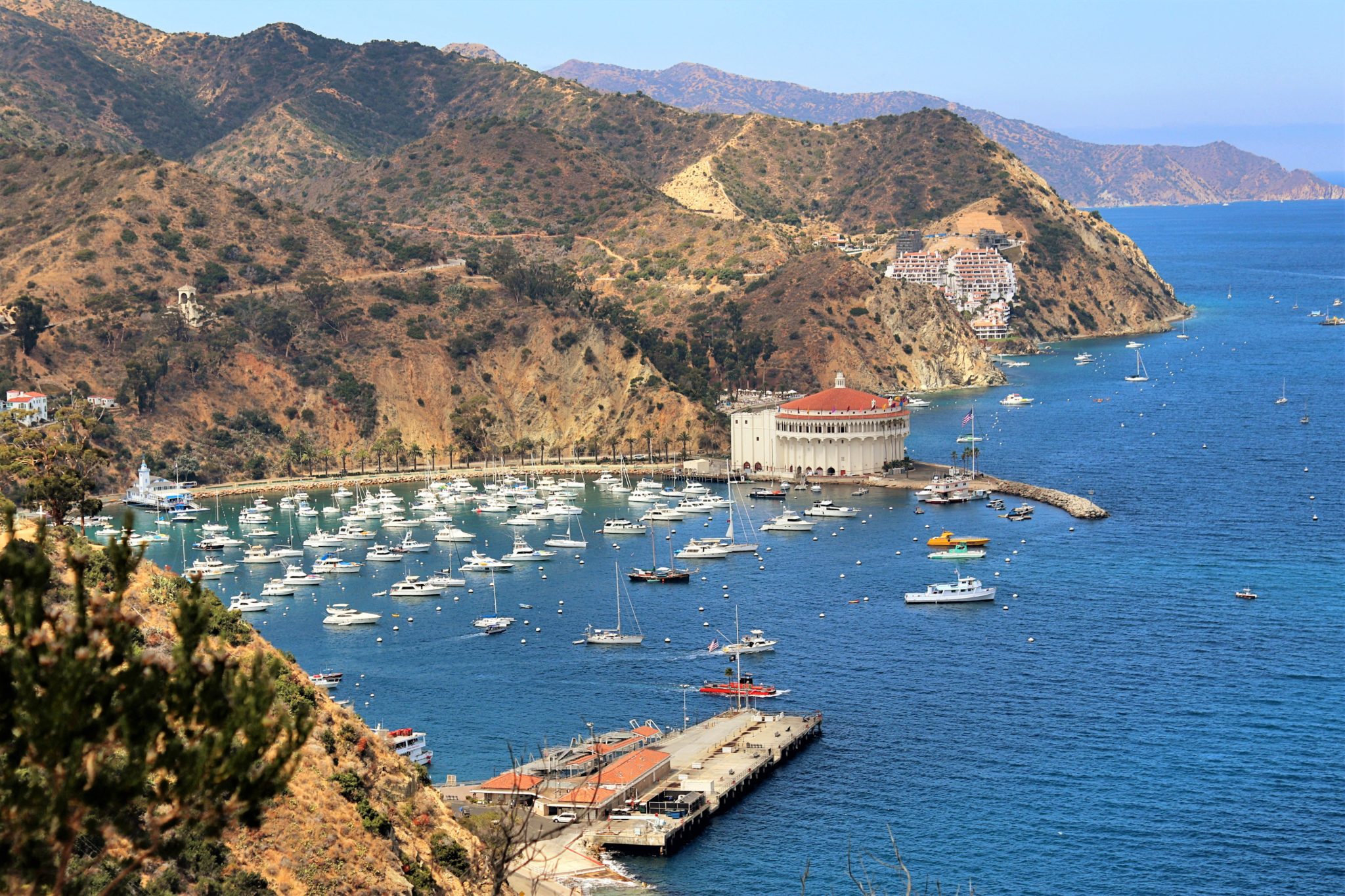 Discover the best day trip from LA | 13 awesome things to do in  LA with kids #catalinaisland #california #LA #simplywander