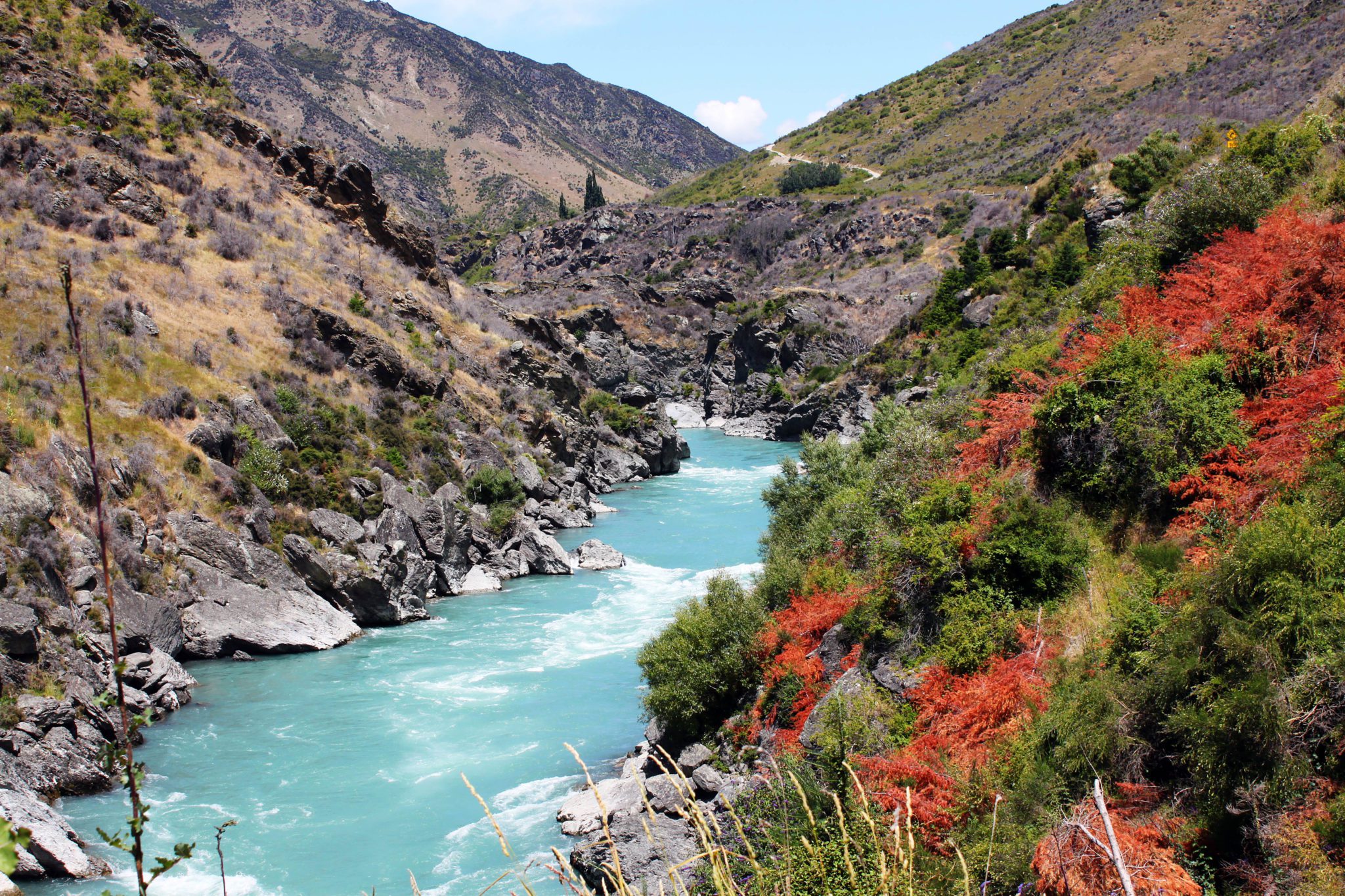 This New Zealand drive along the Kawarua river is stunning | 8 Unforgettable things to do in Queenstown New Zealand #newzealand #queenstown #simplywander 