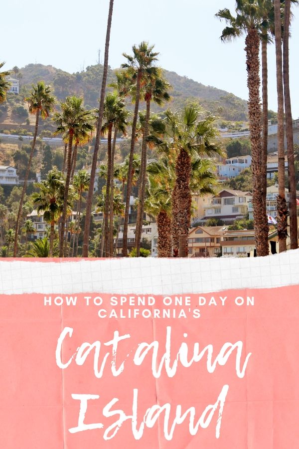 How to spend one day on California's Catalina Island