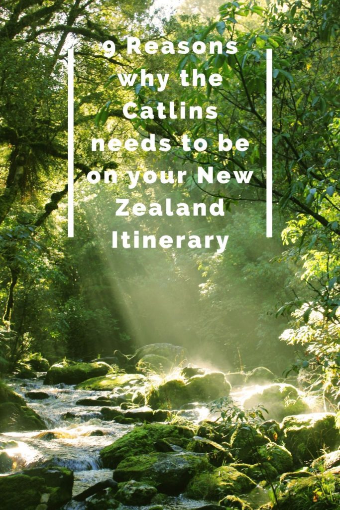 9 Reasons to visit the Catlins New Zealand