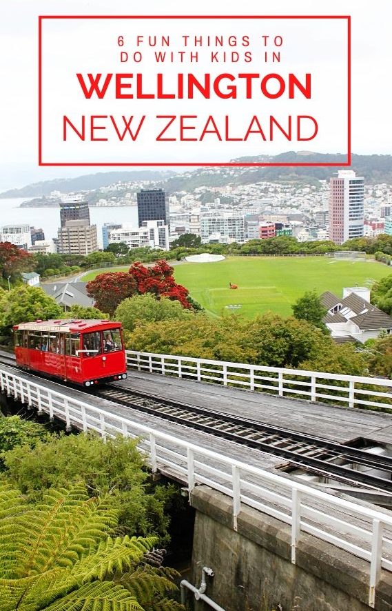 6 Things to do with kids in Wellington New Zealand