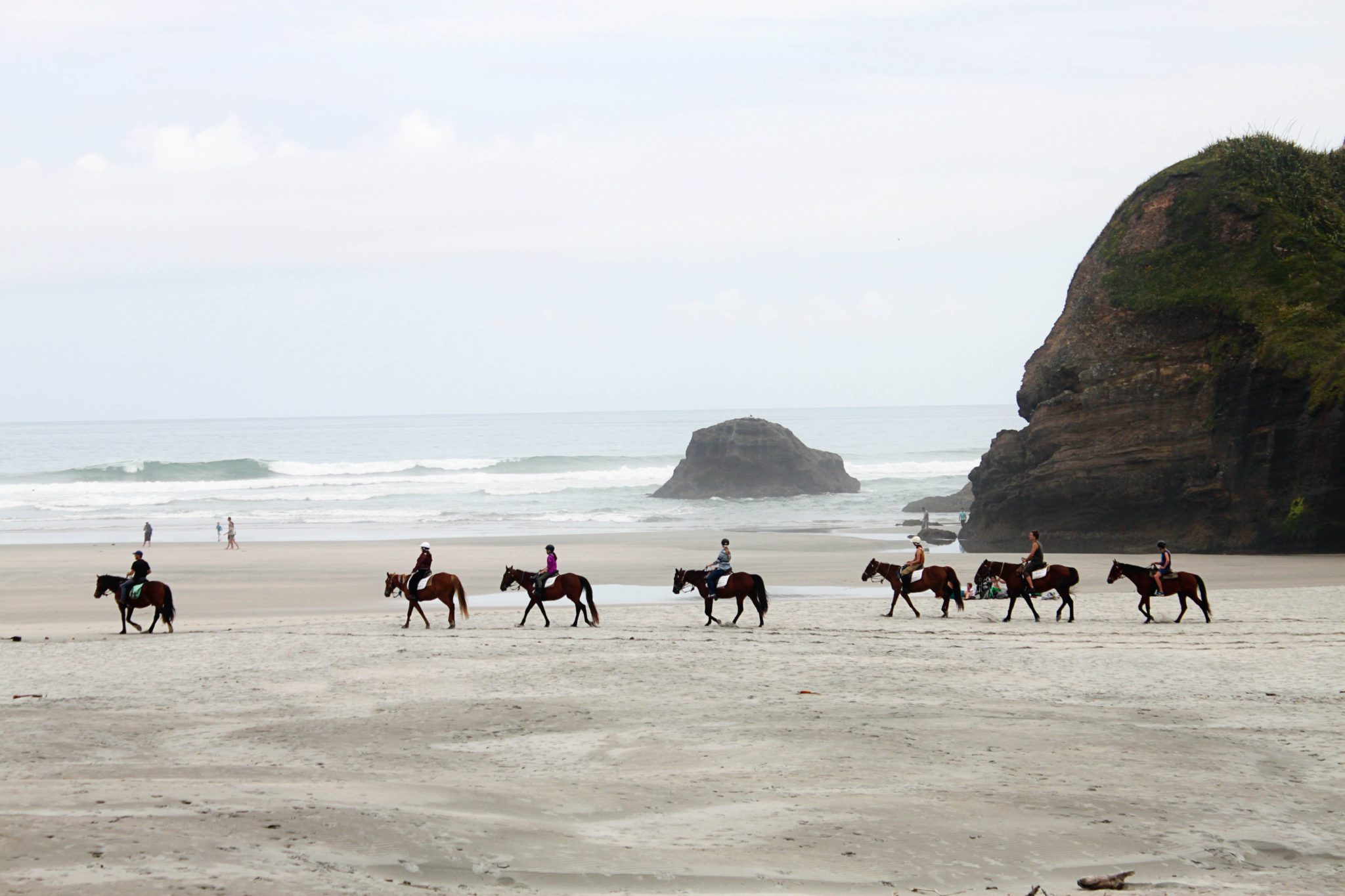 Horse back riding at New Zealand's Wharariki Beach } 10 Must see locations at Golden Bay New Zealand #goldenbay #newzealand #whararikibeach #simplywander