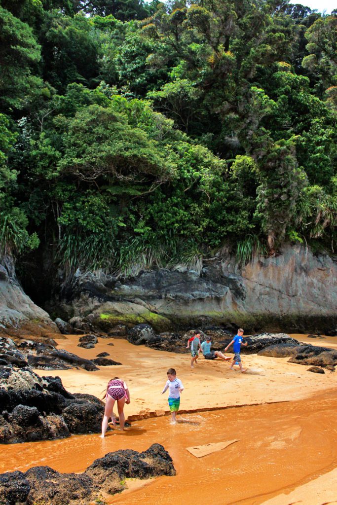 New Zealand's Totaranui Bay is the only beach on Abel Tasman accessible by car | 10 Must see locations on New Zealand's Golden Bay #goldenbay #newzealand #totaranuibay #abeltasman #simplywander