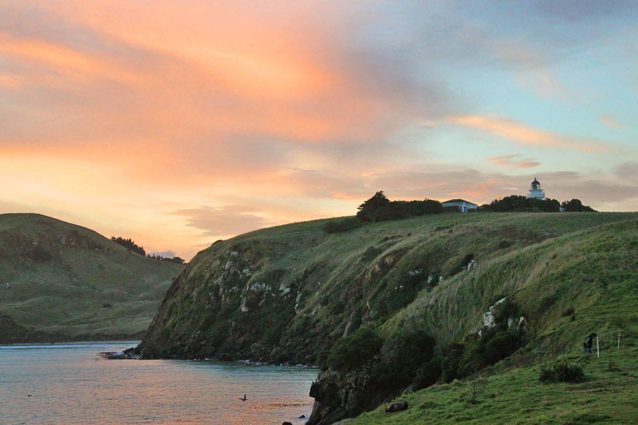 Katiki Point Lighthouse is one of the best places to see penguins and wildlife on the South Island-  Visit these 17 underrated spots on New Zealand's South Island #newzealand #southisland #katikipointlighthouse