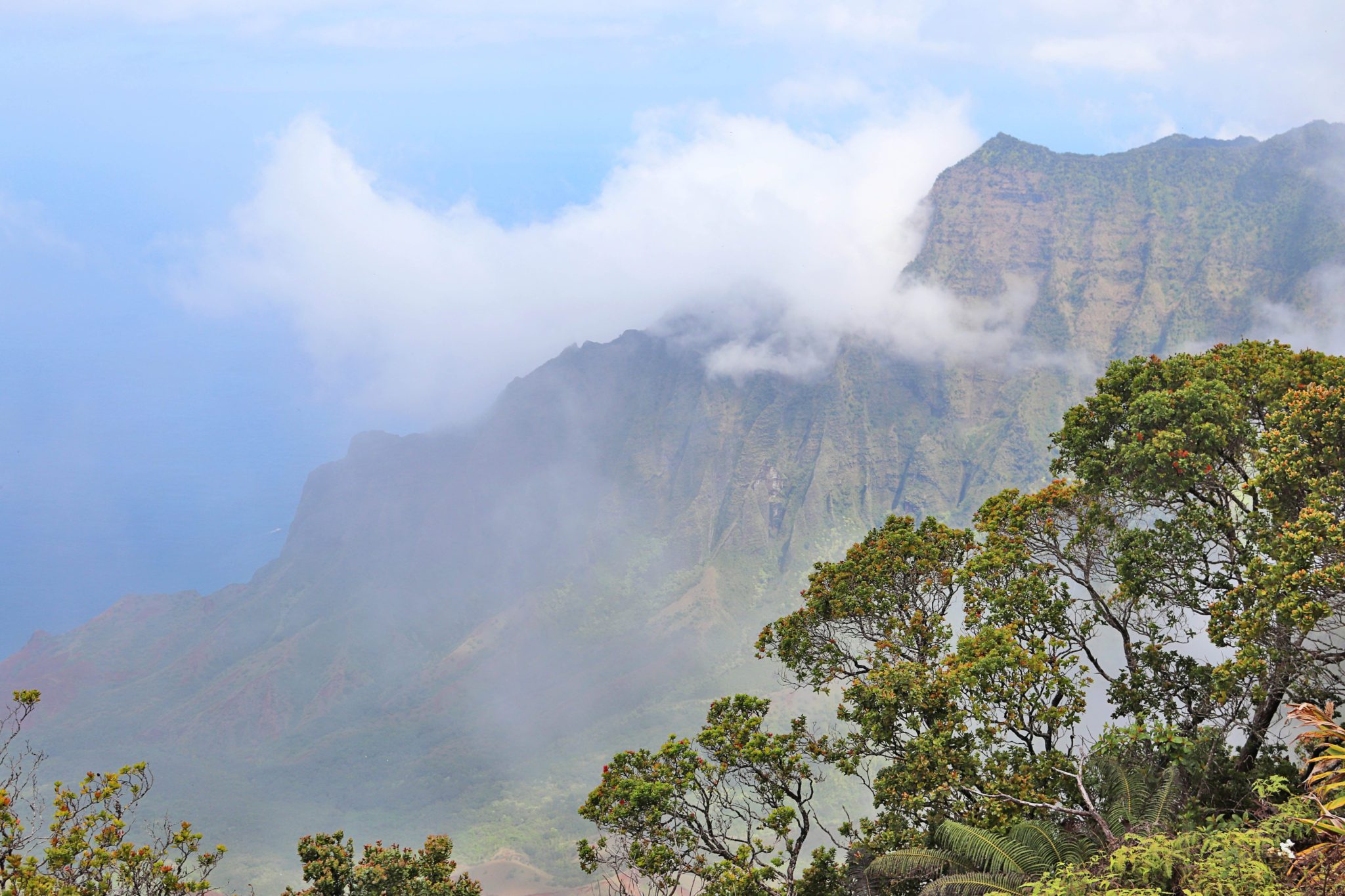 8 of the best hikes in Kauai with kids | Pihea Trail #simplywander #kauai #hawaii #piheatrail