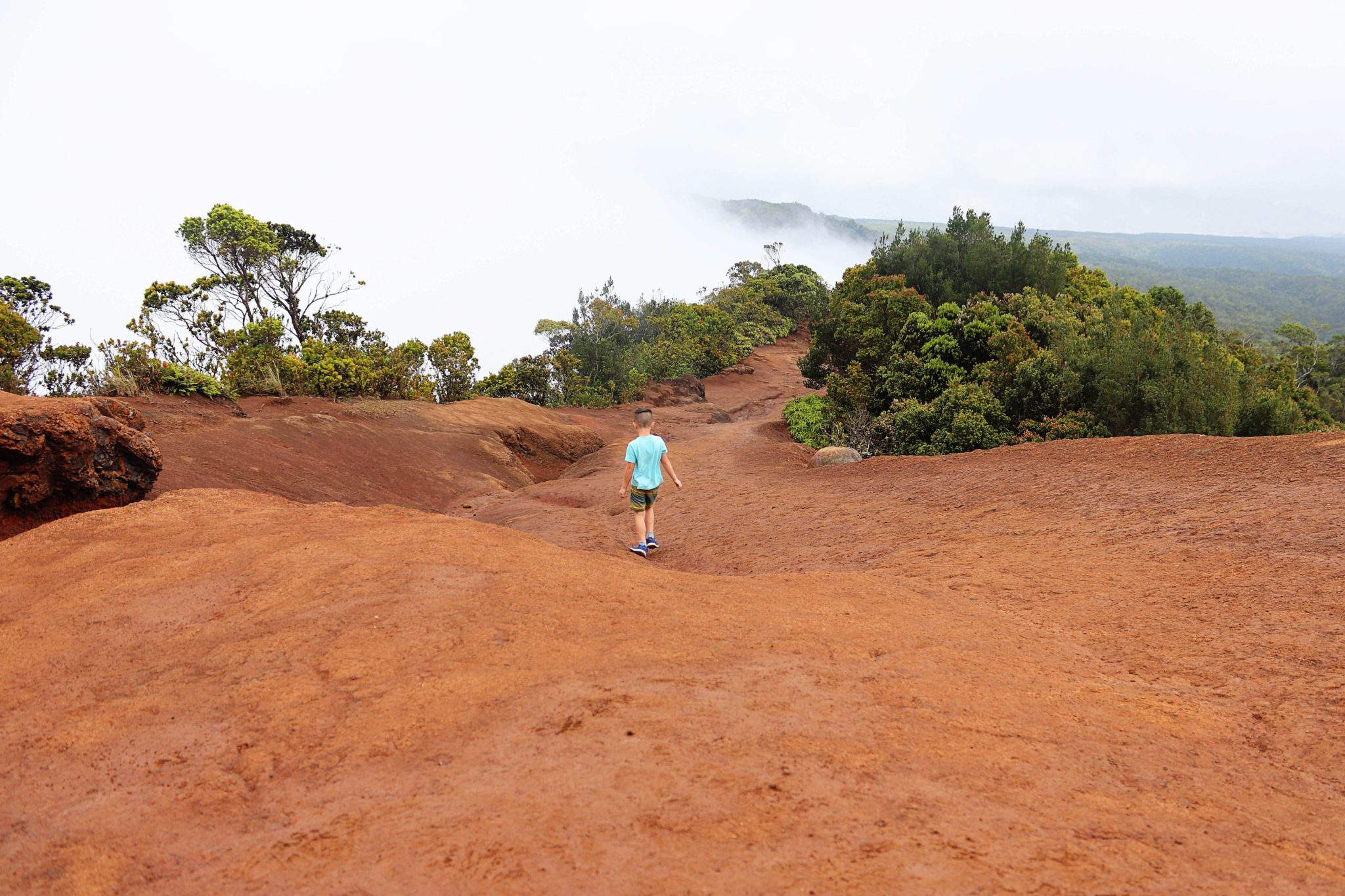 8 of the best hikes in Kauai with kids | Pihea Trail #simplywander #kauai #hawaii #piheatrail