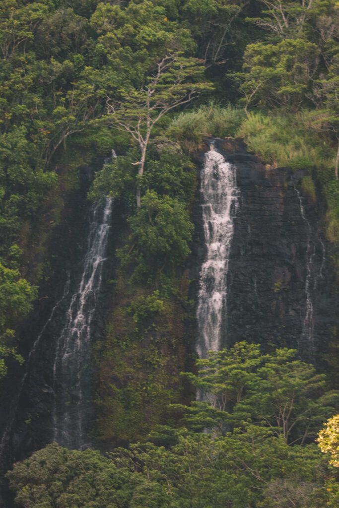 29 Bucket List Things to Do in Kauai With Kids | Wailua Falls #simplywander