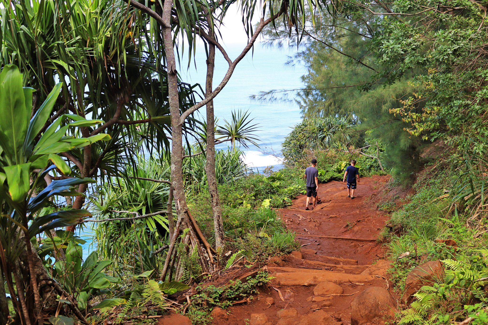 Best hikes in Kauai | Top things to do in Kauai #kauai #hawaii #simplywander #kalalautrail