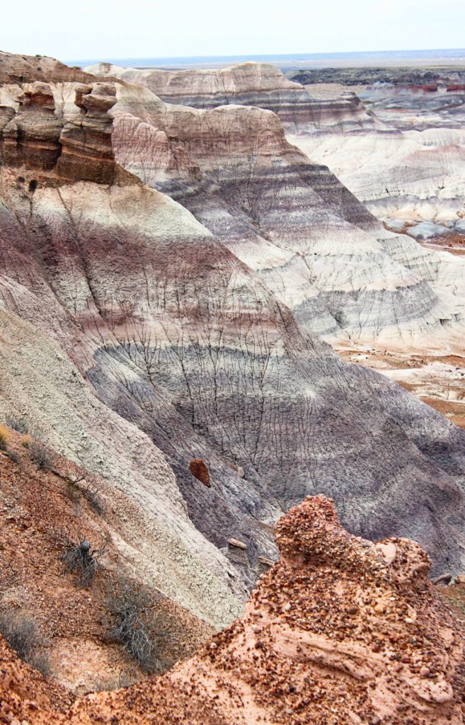 The Blue Mesa Trail in the Petrified National Park feels like you're on another planet #petrifiedforest #arizona #bluemesatrail #simplywander
