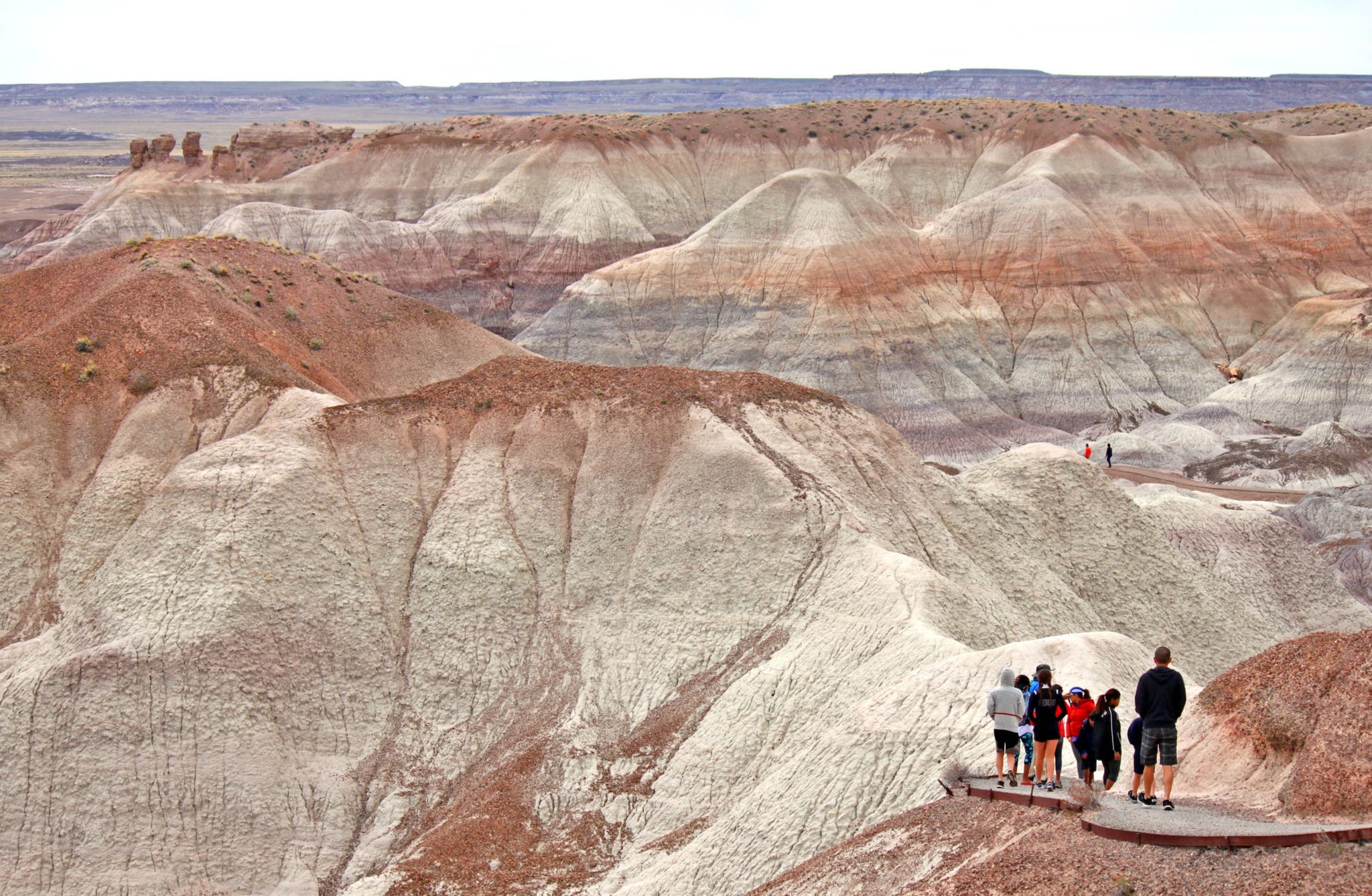 The Blue Mesa Trail in the Petrified National Park feels like you're on another planet #petrifiedforest #arizona #bluemesatrail #simplywander