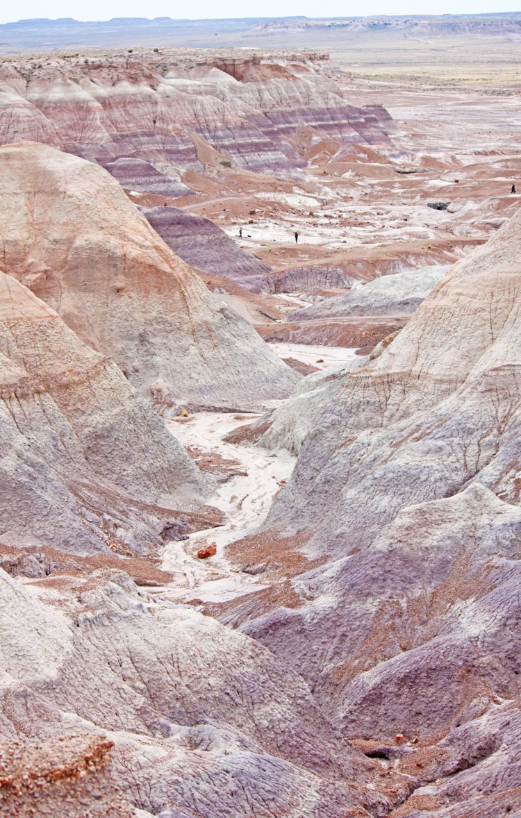 Blue Mesa Trail- Visit some of Arizona's hidden gems- the Petrified Forest and Canyon de Chelly