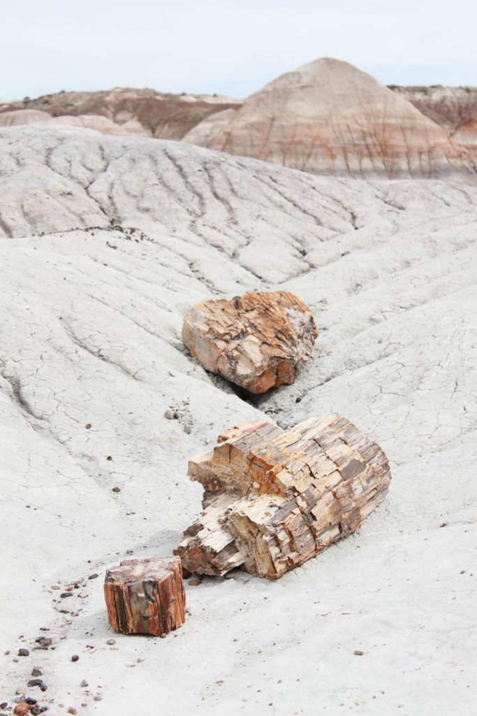 Blue Mesa Trail- Visit some of Arizona's hidden gems- the Petrified Forest and Canyon de Chelly