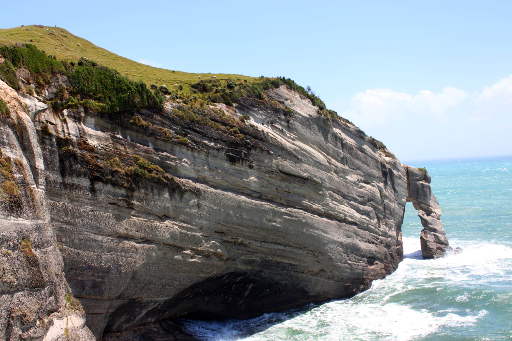 New Zealand's Cape Farewell lookout | 10 Must see locations at Golden Bay New Zealand #goldenbay #newzealand #capefarewell #simplywander
