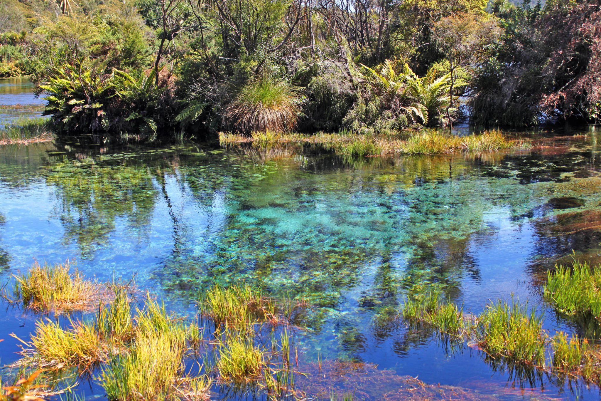 New Zealand's Te Waikoropupu Springs is the second most optically pure water found in the world | 10 Must see locations at Golden Bay New Zealand #goldenbay #newzealand #tewaikoropupusprings #simplywander