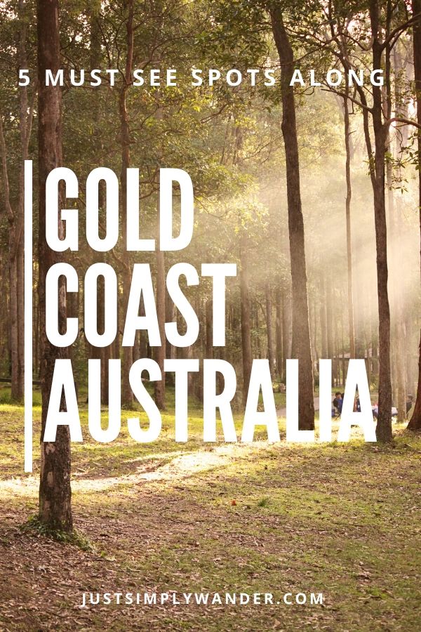 Top 5 things to do in Gold Coast Australia
