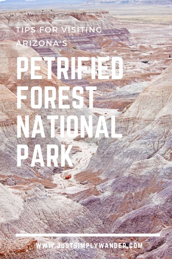 Tips for visiting the Petrified Forest National Park Arizona