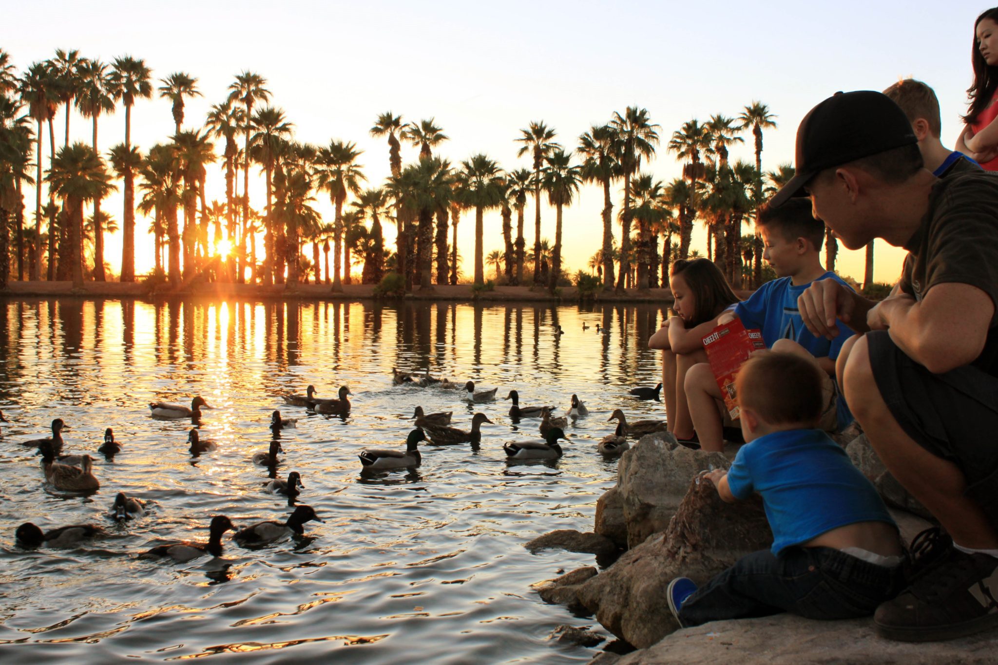Best parks and playgrounds in the East Valley-101 East Valley and Phoenix Kids activities #phoenix #arizona #papagopark