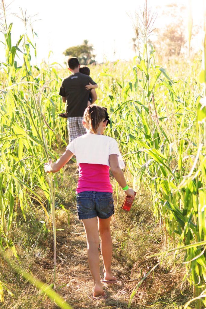 Best agricultural experiences for kids in the Phoenix East Valley-101 East Valley and Phoenix Kids activities #phoenix #arizona #vertucciofarms