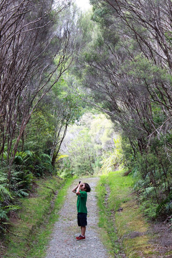 Cave Creek Track New Zealand | 11 things to see on New Zealand's West Coast #newzealand #westcoast #cavecreektrack