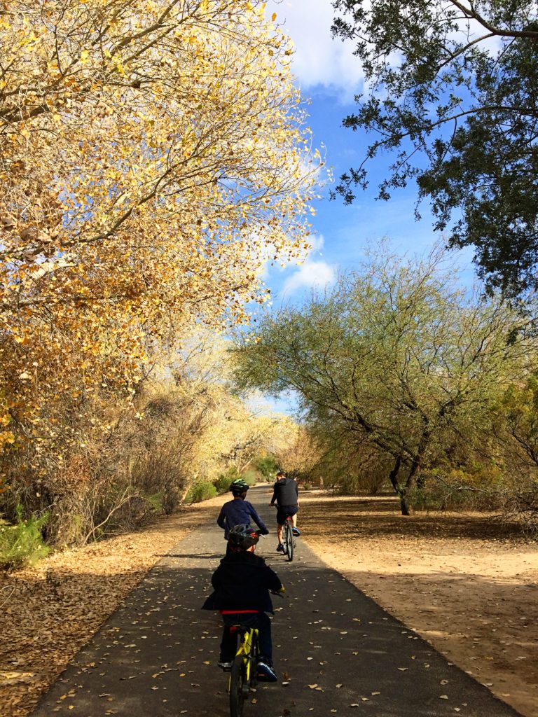 Best kid friendly bike parks and bike paths in the Phoenix East Valley- 101 East Valley and Phoenix Kids activities #phoenix #arizona #queencreekwash