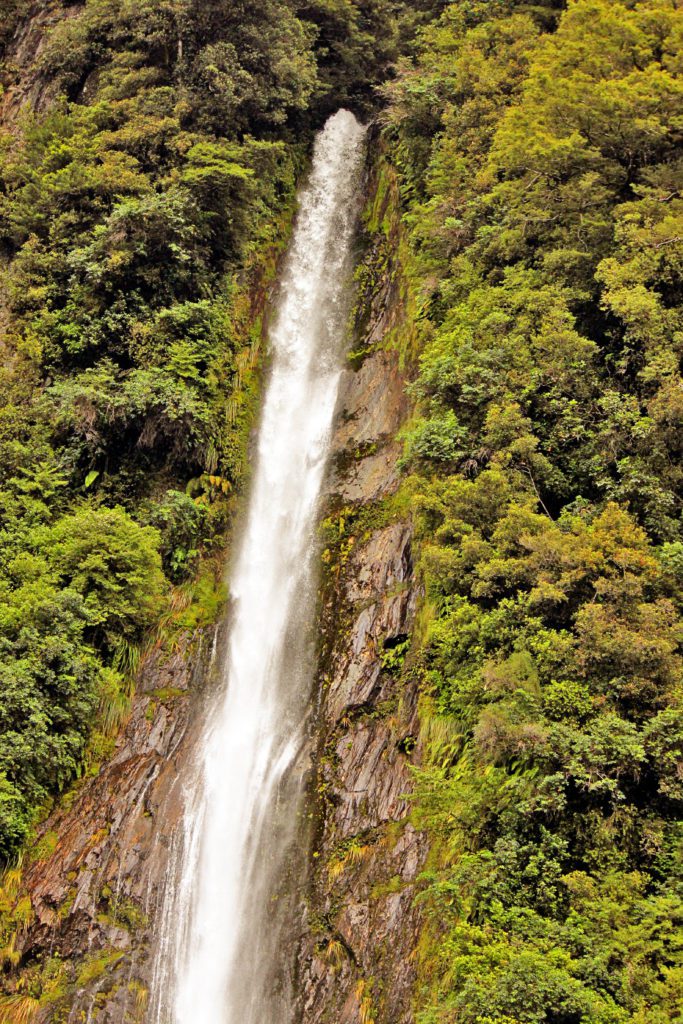 Haast Pass New Zealand Thunder Creek Falls | 11 things to see on New Zealand's West Coast #newzealand #haastpass #simplywander