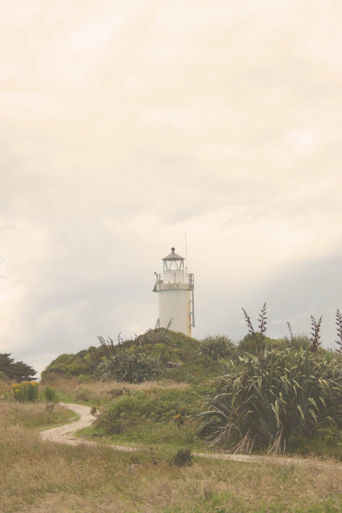 New Zealand's Cape Foulwind lighthouse and seal colony | 11 things to see on New Zealand's West Coast #newzealand #westcoast #capefoulwind