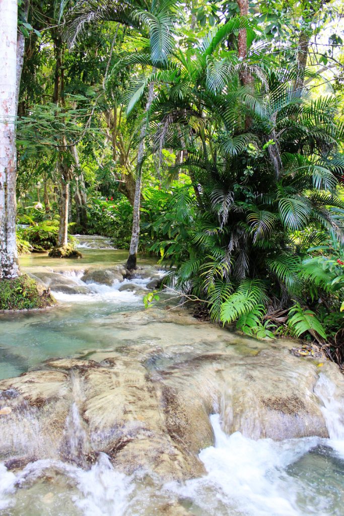 Discover 8 unique experiences in Jamaica | what to do in Jamaica #jamaica #simplywander #dunnsriverfalls