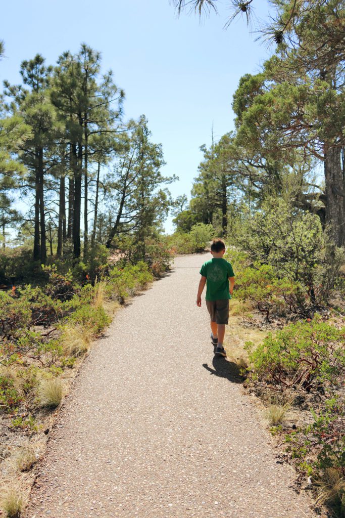 Mogollon Rim Interpretive Trail | A local's guide to Pinetop Arizona | Best Things to do in Pinetop #pinetop #arizona #mogollonriminterpretivetrail