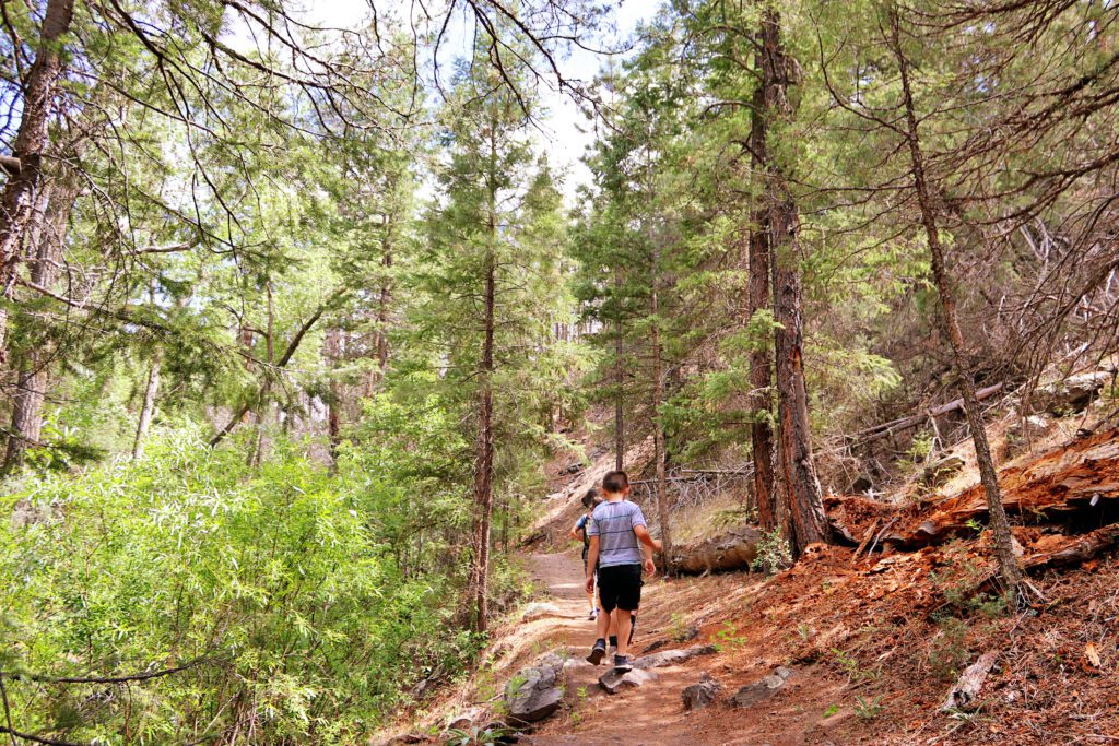 Best hikes near Pinetop | A local's guide to Pinetop Arizona | Best Things to do in Pinetop #pinetop #arizona #southforktrail