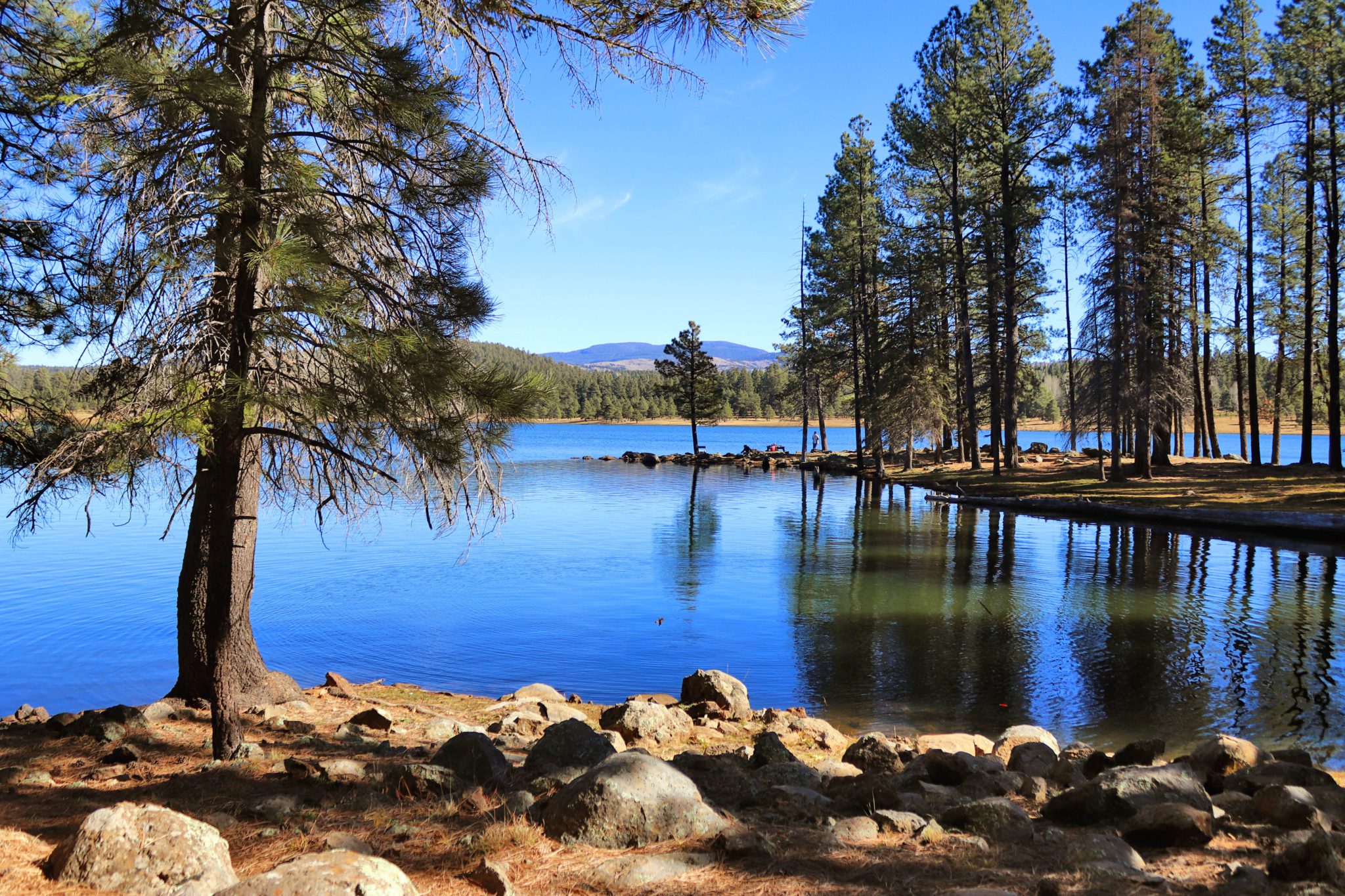 Best Fishing Lakes in Pinetop- Best things to do in Pinetop #pinetop #arizona #hawleylake