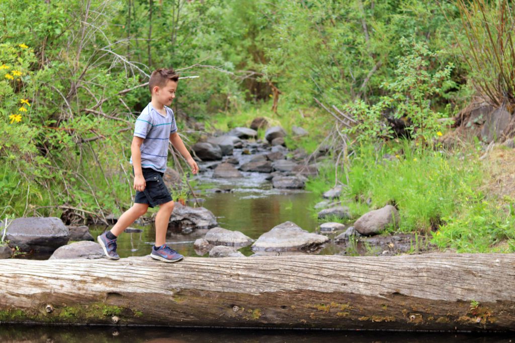 Best hikes near Pinetop | A local's guide to Pinetop Arizona | Best Things to do in Pinetop #pinetop #arizona #southforktrail