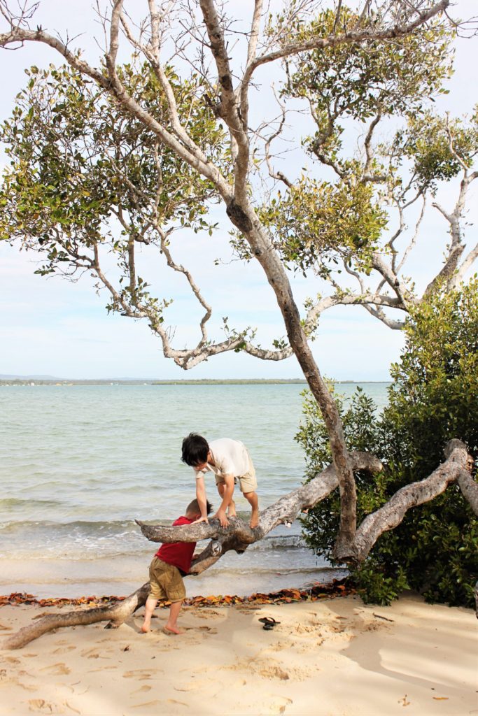 Fraser Island is the largest sand island in the world- 7 unforgettable things to do along Australia's Sunshine Coast #australia #sunshinecoast #fraserisland #simplywander