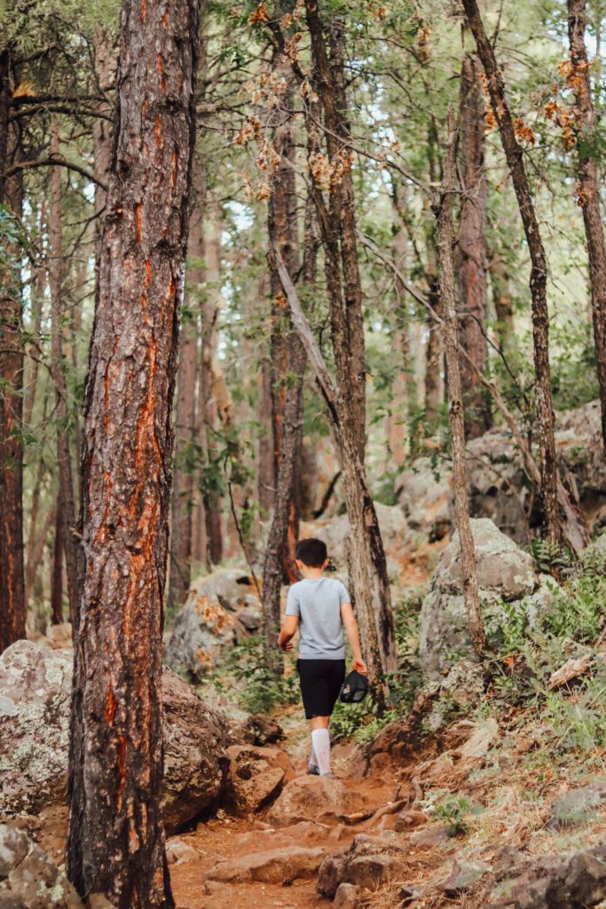 A local's guide to the best things to do in Pinetop Arizona | Springs Trail #simplywander #pinetop #arizona #springstrail