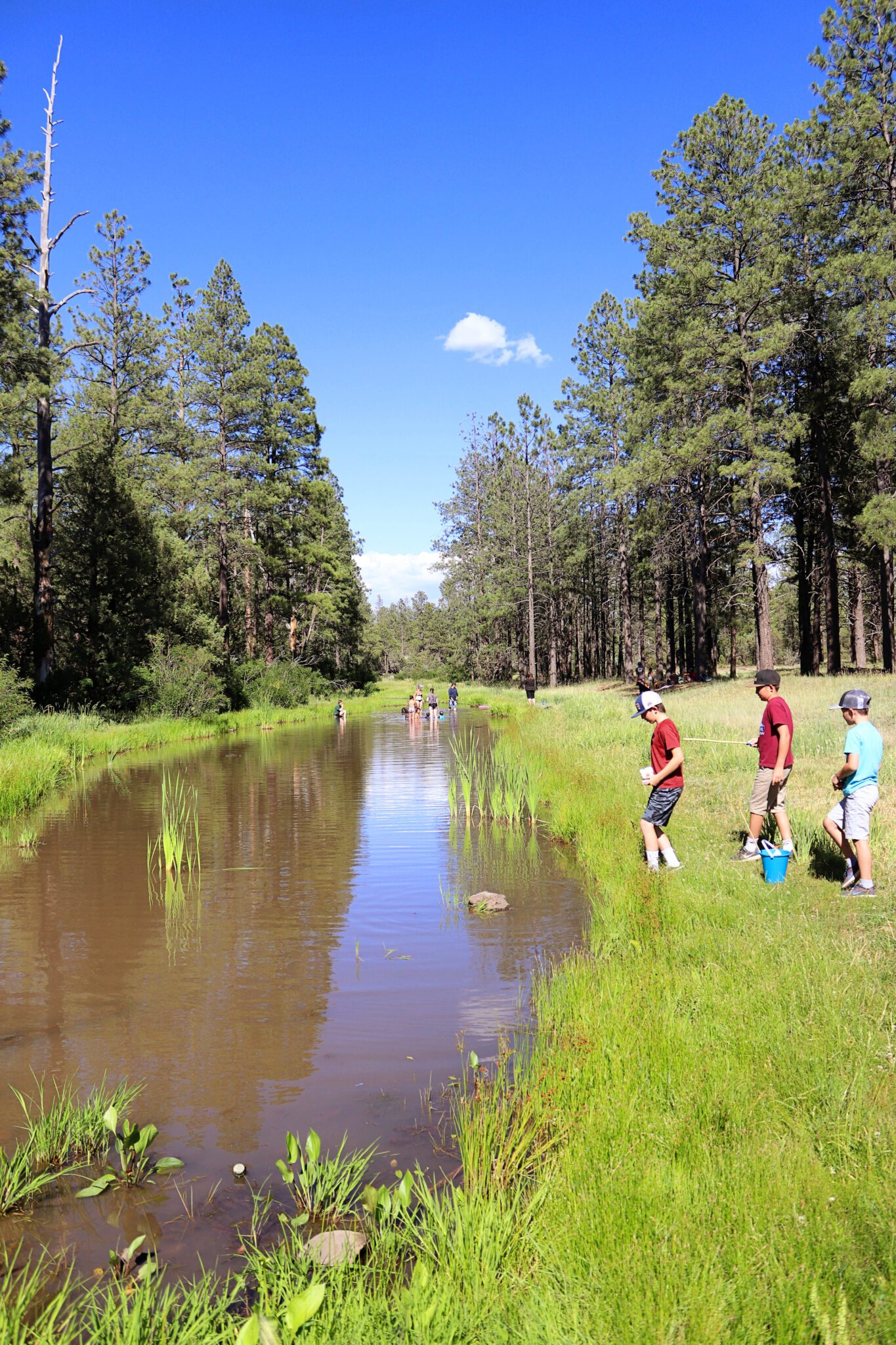 Best things to do in Pinetop Arizona #simplywander #pinetop #arizona