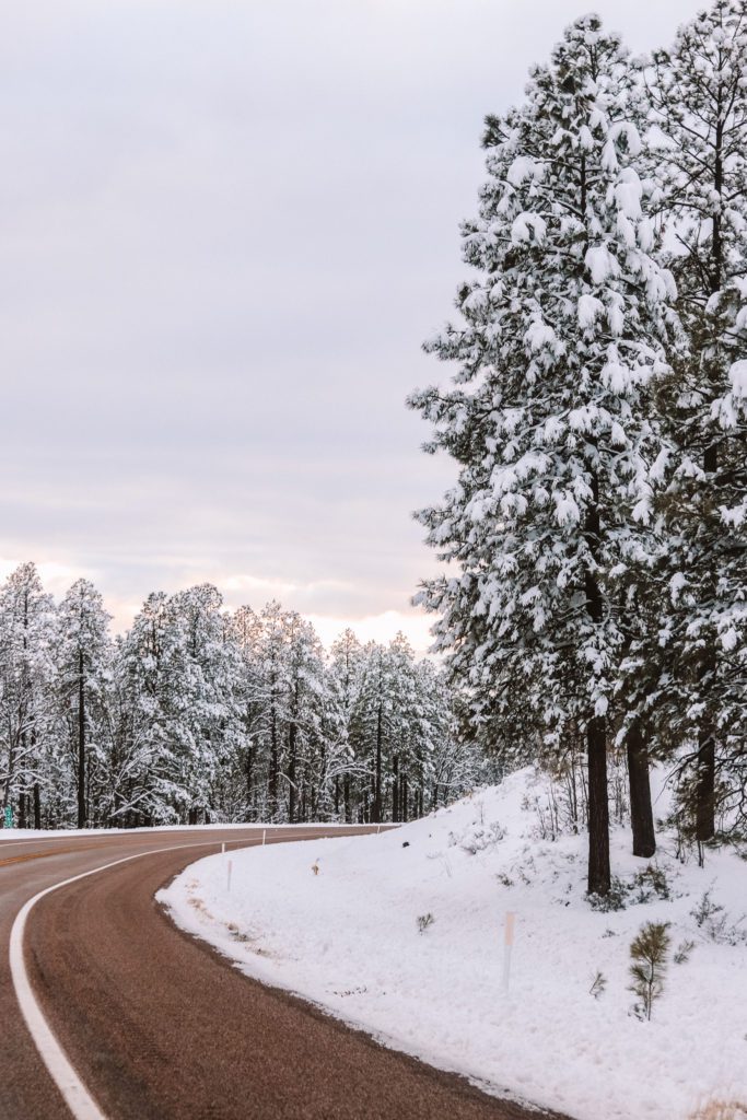 A local's guide to the best things to do in Pinetop Arizona | Simply Wander #simplywander #pinetop #arizona