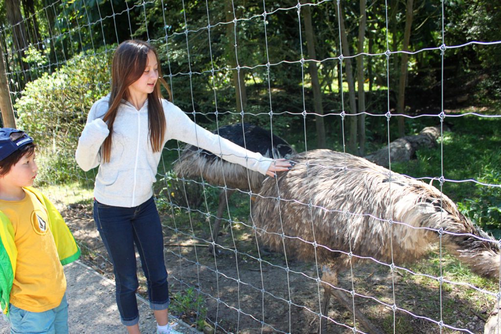 Discover this hands-on wildlife park in Christchurch New Zealand | A local's guide to Christchurch New Zealand | Top things to do in Christchurch #christchurch #newzealand #willowbankwildlifepreserve #simplywander