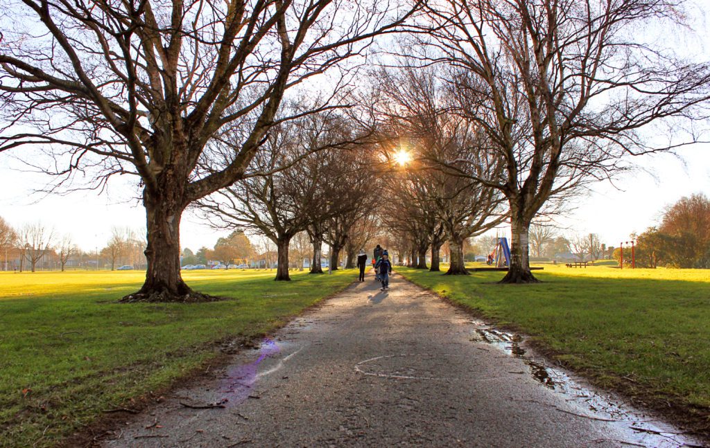Find the best parks in Christchurch New Zealand | A local's guide to Christchurch New Zealand | Top things to do in Christchurch #christchurch #newzealand #jellypark #simplywander