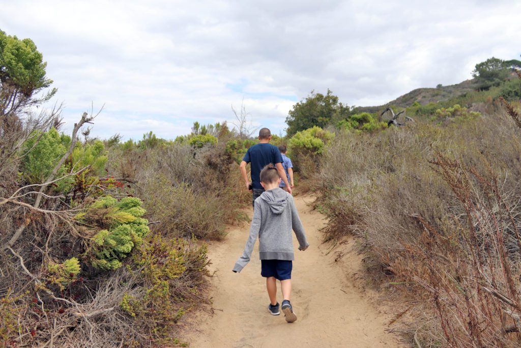 6 Stops on a Pacific Coast Highway Road Trip from Oceanside to San Diego | Annie's Canyon Trail #simplywander #california #pacificcoasthighway #anniescanyon