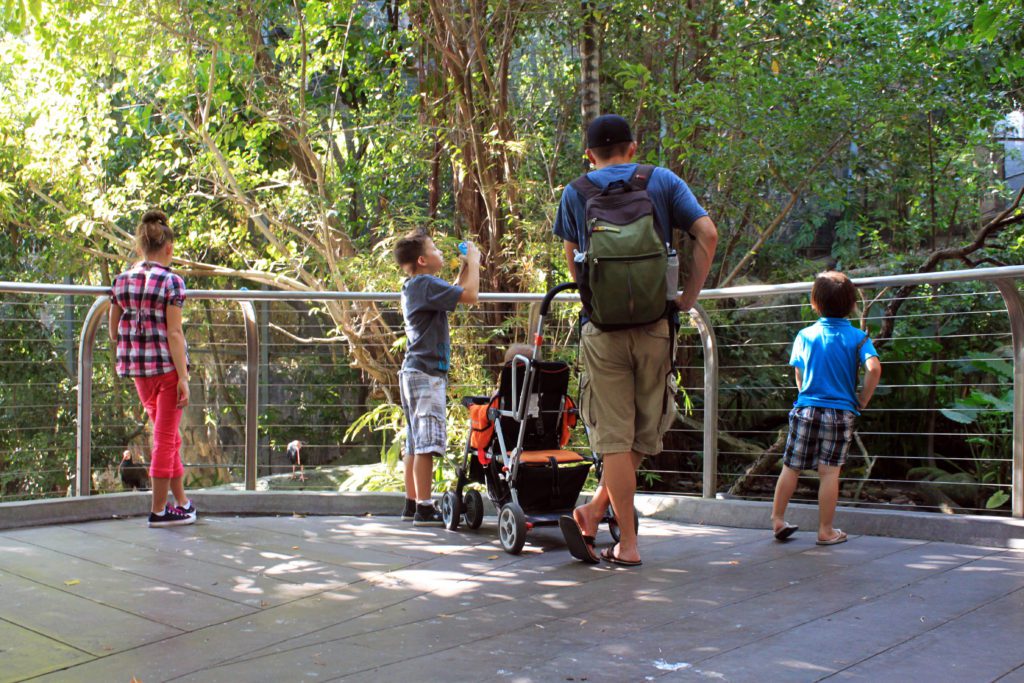Tips for visiting the San Diego Zoo  | 12 unforgettable things to do in San Diego with kids #sandiego #sandiegokids #sandiegozoo #simplywander #familyvacation