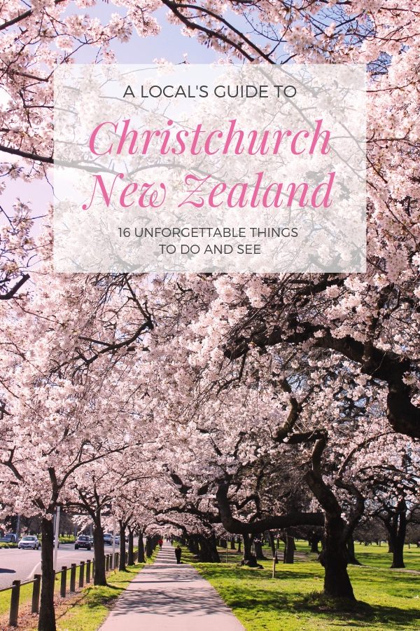 A local's guide to Christchurch New Zealand | Top things to do in Christchurch #christchurch #newzealand #simplywander